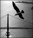 Travel фотография